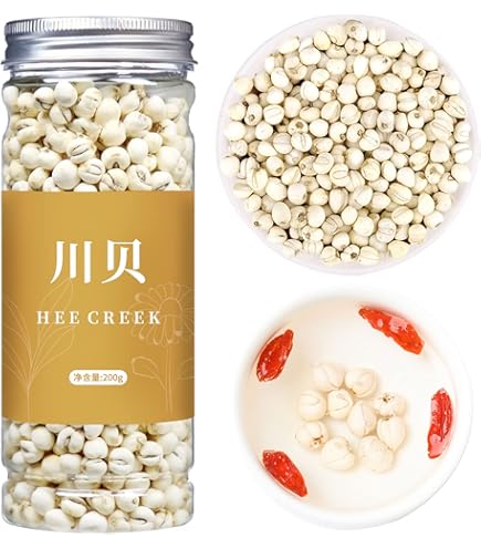 菓子 MOORCHOCO Radix Glehniae 200g Amazon.com: USTCM New Packaging Radix Glehniae Sha Shen 沙参 4oz